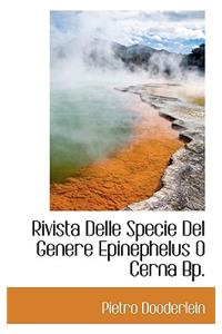 Rivista Delle Specie del Genere Epinephelus O Cerna BP.