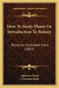 How To Study Plants Or Introduction To Botany