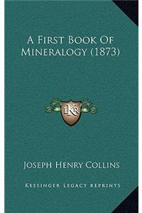 A First Book of Mineralogy (1873)