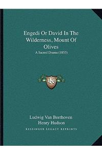 Engedi Or David In The Wilderness, Mount Of Olives