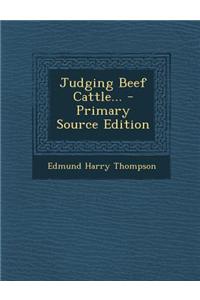Judging Beef Cattle...