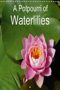 A Potpourri of Waterlilies 2016