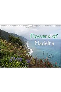 Flowers of Madeira - UK Version 2018