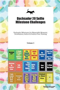 Dachsador 20 Selfie Milestone Challenges Dachsador Milestones for Memorable Moments, Socialization, Indoor & Outdoor Fun, Training Volume 3