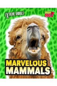 Marvelous Mammals