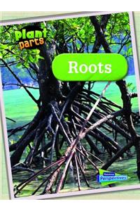Plant Parts Roots