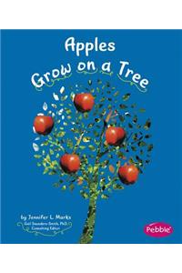 Apples Grow on a Tree