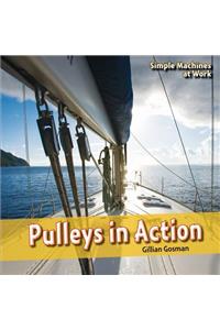 Pulleys in Action