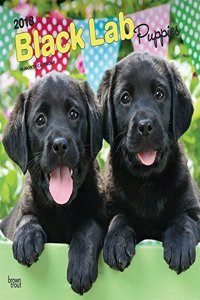 Labrador Retriever Puppies, Black 2018 Wall Calendar