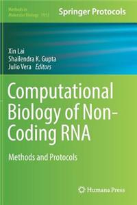 Computational Biology of Non-Coding RNA