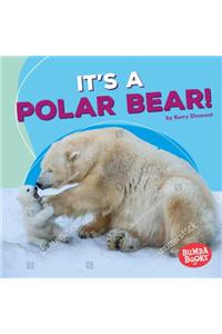 It's a Polar Bear!