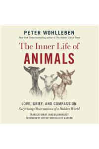 Inner Life of Animals Lib/E