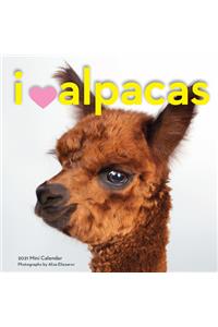 I Heart Alpacas Mini Wall Calendar 2021