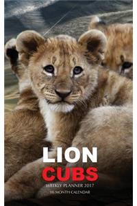 Lion Cubs Weekly Planner 2017