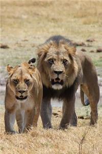 Lioness with Her Lion Journal