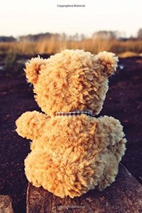 Cute Teddy Bear Stuffed Animal Journal