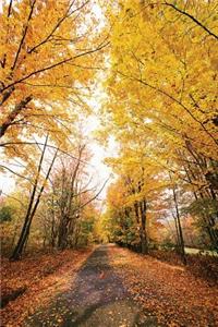 Journal Fall Foliage Walking Path