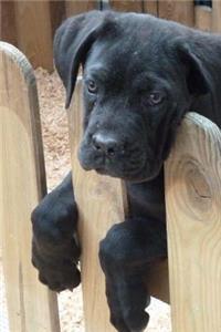 So Sweet Black Lab Mix Puppy Dog Journal