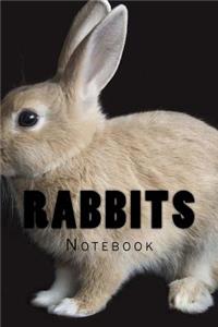 Rabbits