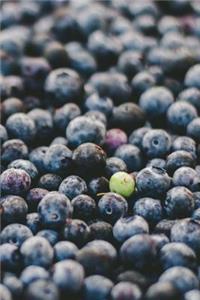 Blueberry Dreams Journal