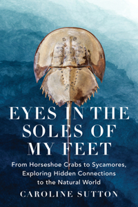 Eyes in the Soles of My Feet