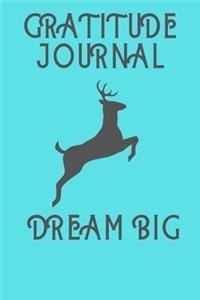 Gratitude Journal Dream Big