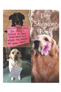 Dog Shaming Book