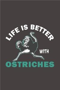 Life Is Better With Ostriches