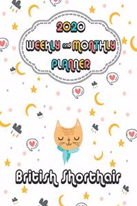 2020 British Shorthair Cat Planner