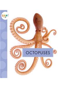 Octopuses