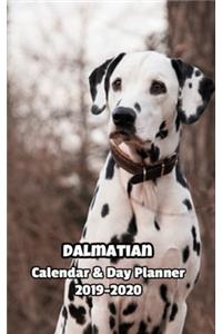 Dalmatian Calendar & Day Planner 2019-2020