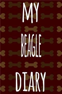 My Beagle Diary