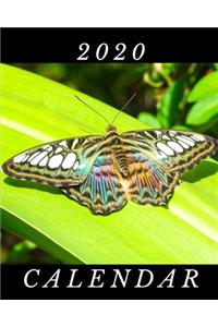 2020 Calendar