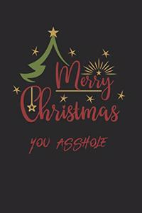 Merry Christmas You Asshole Insult Journal