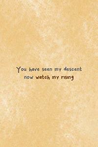 You Have Seen My Descent Now Watch My Rising
