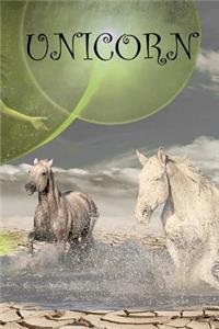 Unicorn: Unicorn, Notebook, Gift, Funny, Journal, Diary (6 X 9; 112)
