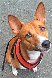 Cute Basenji on a Walk Journal