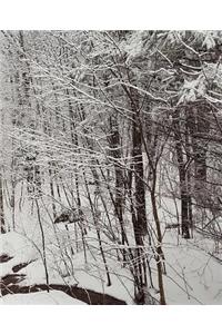 Winter School Composition Book Scenic Snowstorm 130 Pages