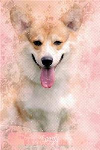 Corgi