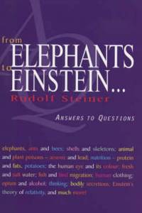 From Elephants to Einstein