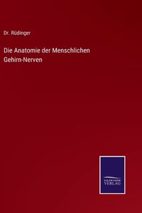 Die Anatomie der Menschlichen Gehirn-Nerven