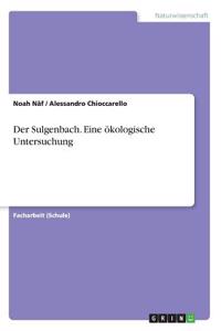 Sulgenbach. Eine ökologische Untersuchung