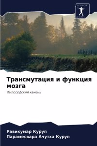 Трансмутация и функция мозга