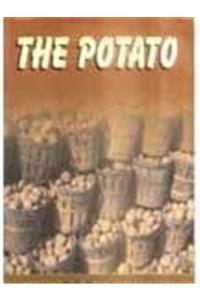 The Potato