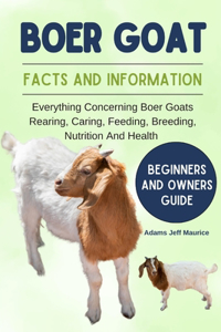Boer Goat