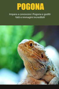 Pogona: Impara a conoscere i Pogona e goditi fatti e immagini incredibili