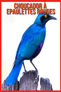 Choucador à Epaulettes Rouges