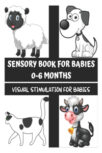 Sensory Book for Babies 0-6 months - Visual Stimulation for Babies