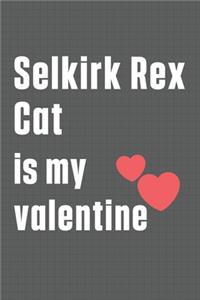 Selkirk Rex Cat is my valentine