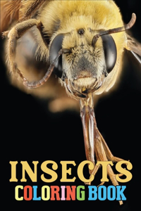 Insect Coloring Book